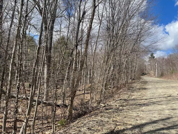 Stoddard, NH 03464,00 Red Coat LN