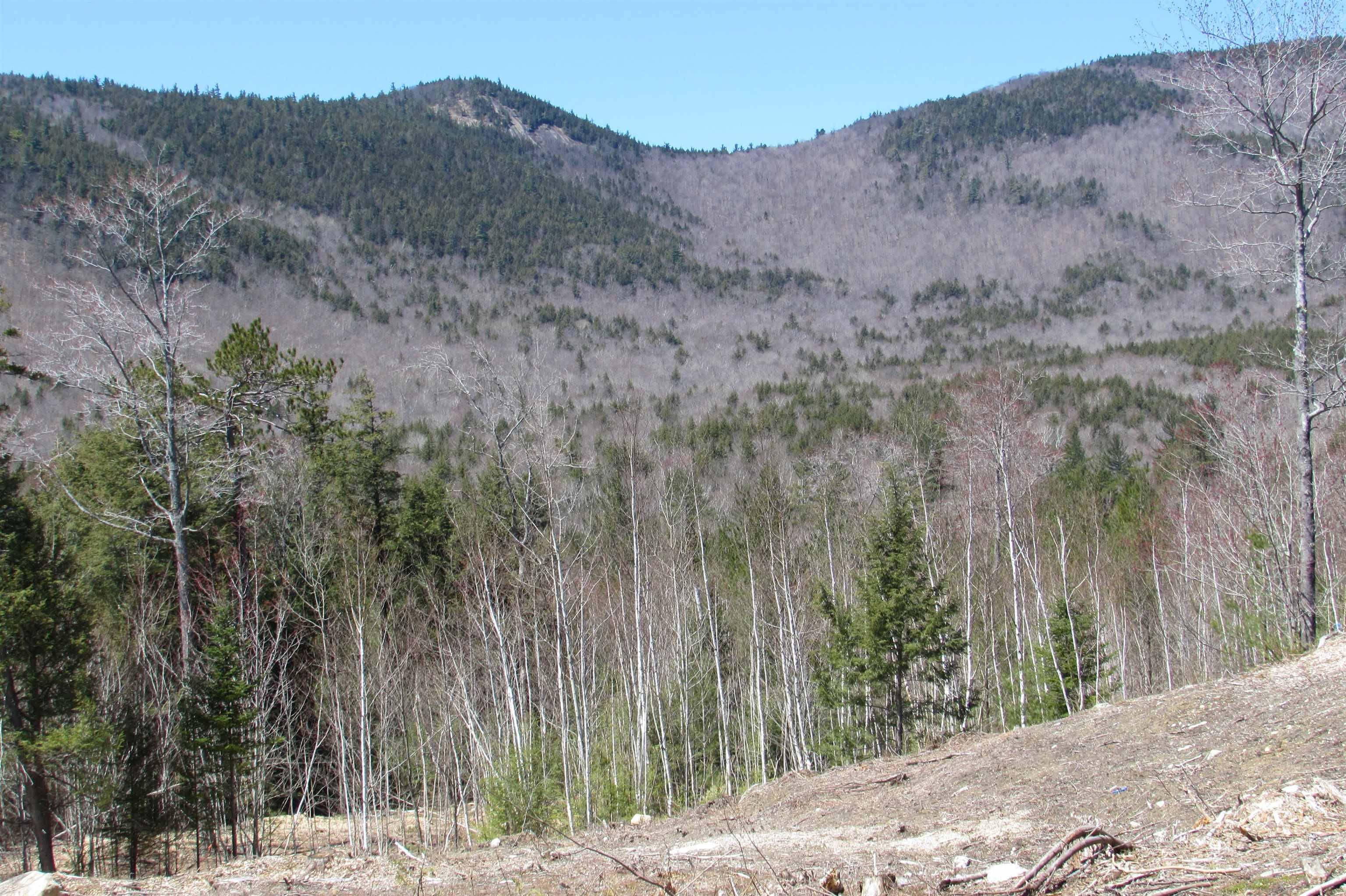 Bartlett, NH 03812,F8 Cave Mountain RD