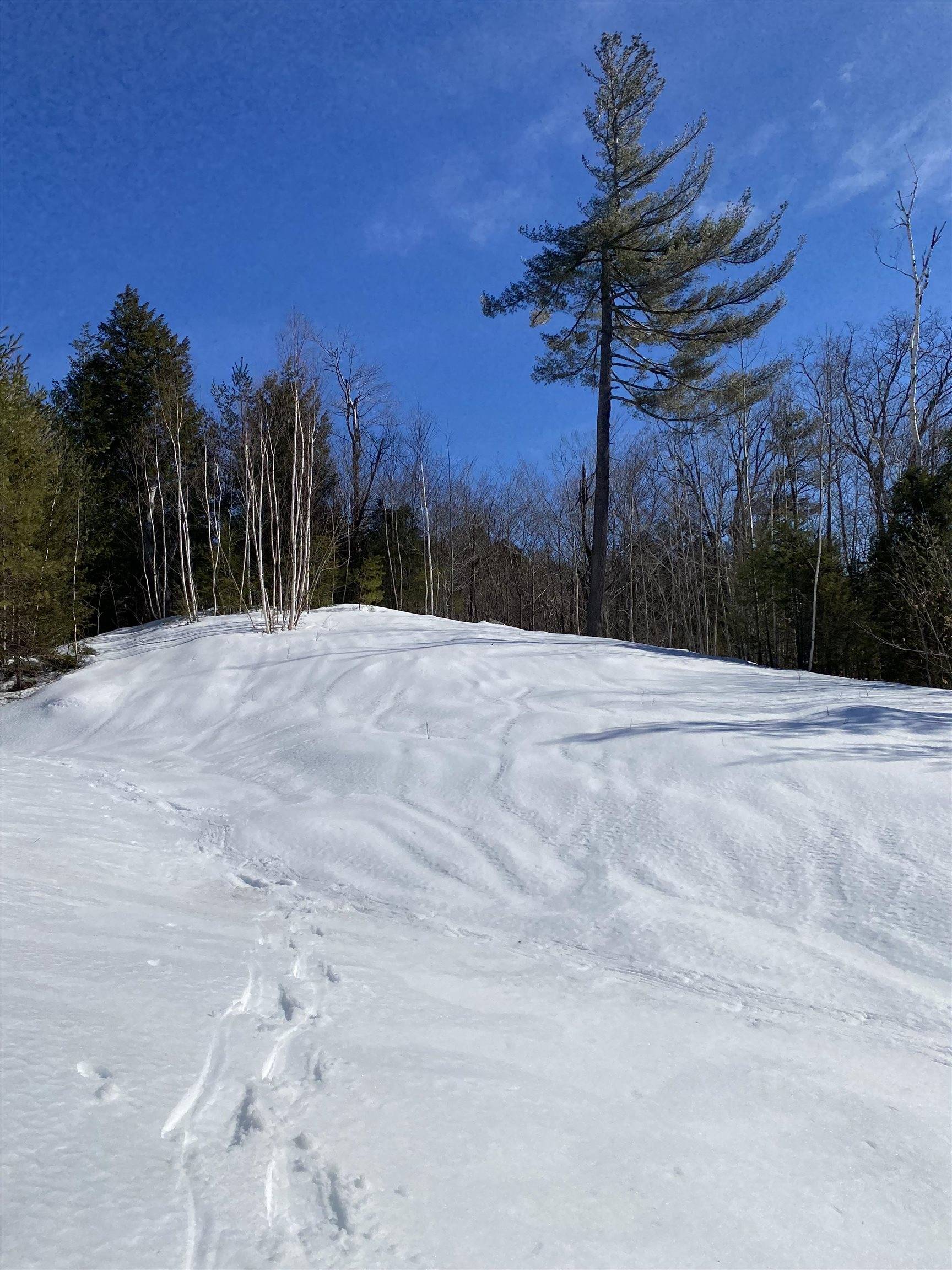 Bartlett, NH 03812,F8 Cave Mountain RD