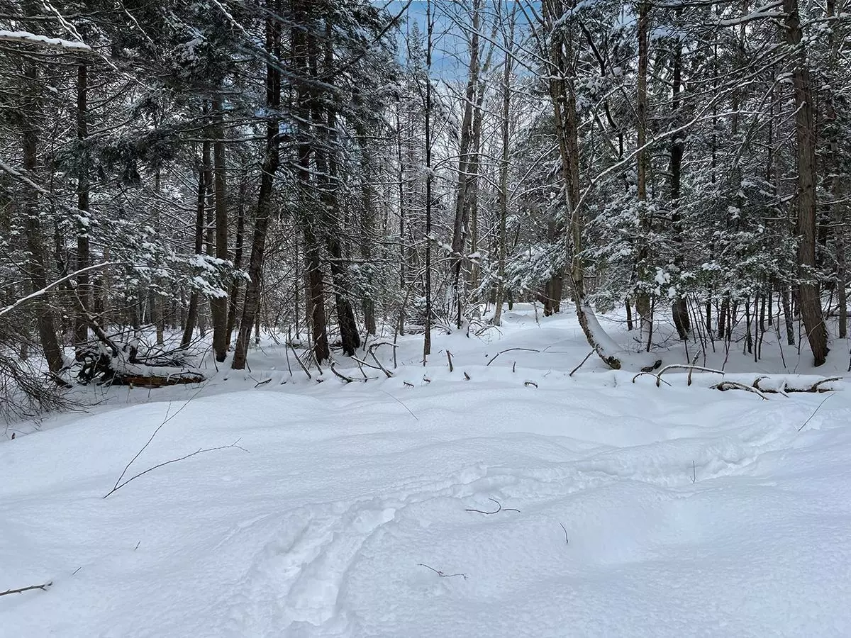 Waitsfield, VT 05673,Lot 8 Bertha Springs RD #Lot 8