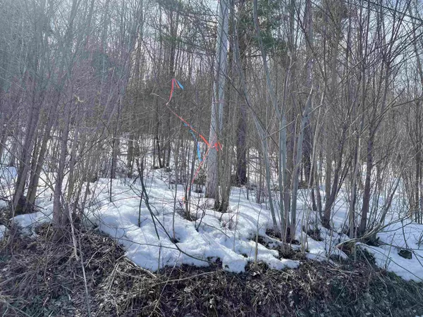 Randolph, VT 05061,000 VT Route 66