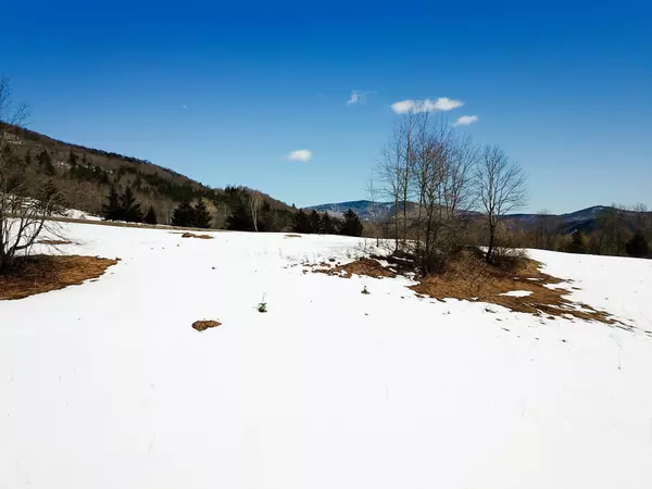 Rochester, VT 05767,366 Access RD #1