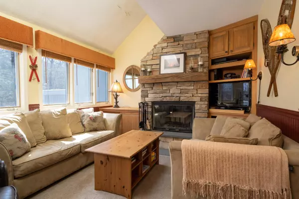 Stratton, VT 05155,28 Styles Branch RD #305