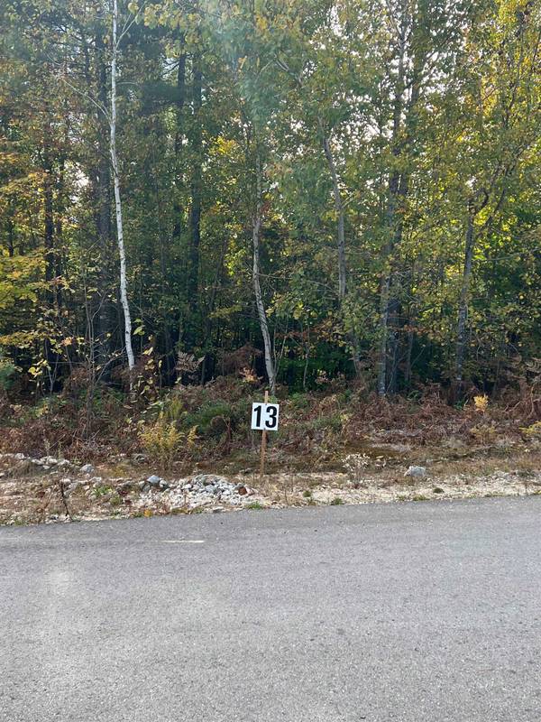 13 Hawthorne RD #Sub Div Plan Lot 29, Ossipee, NH 03864