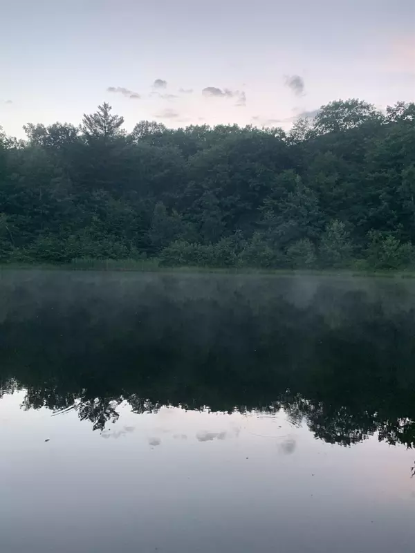 Reading, VT 05062,1013 Malagash RD