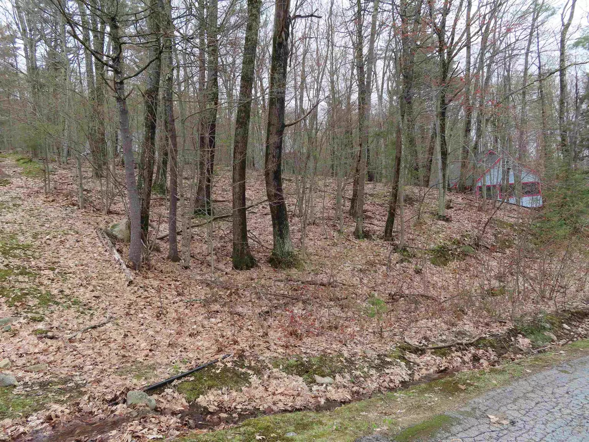 Alton, NH 03810,Lot 66 Scott DR