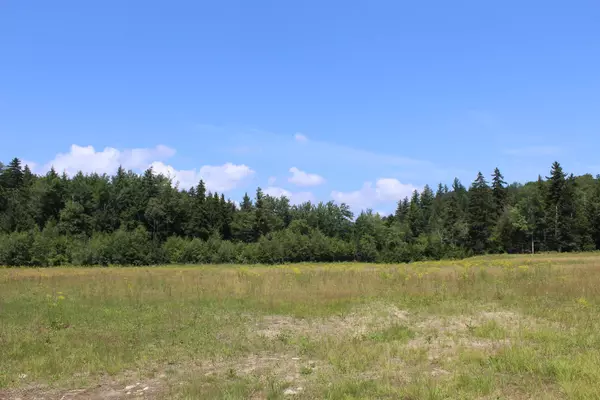 Stratton, VT 05360,0 Leon Stocker DR