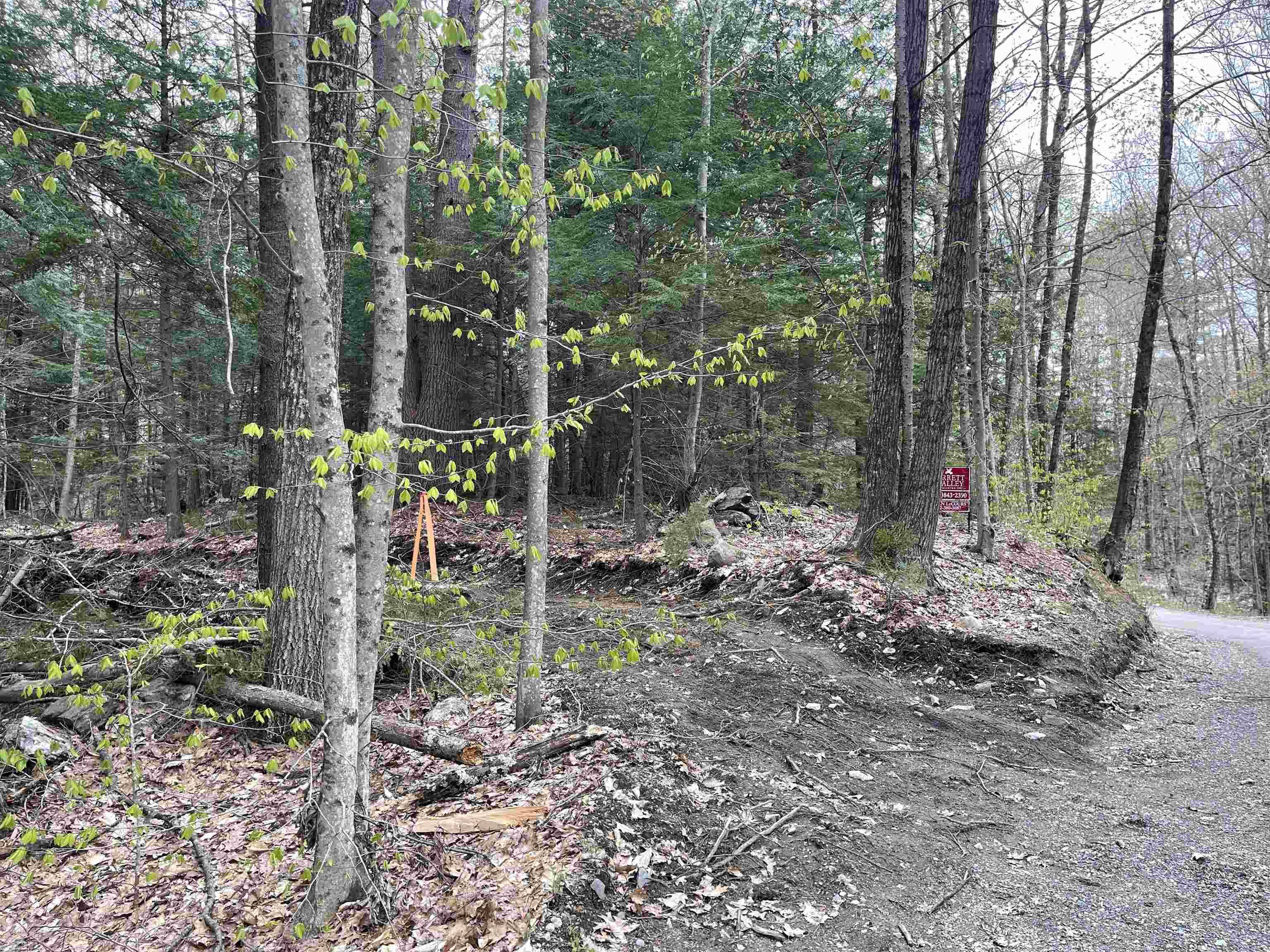 Springfield, VT 05156,0 Bugbee RD