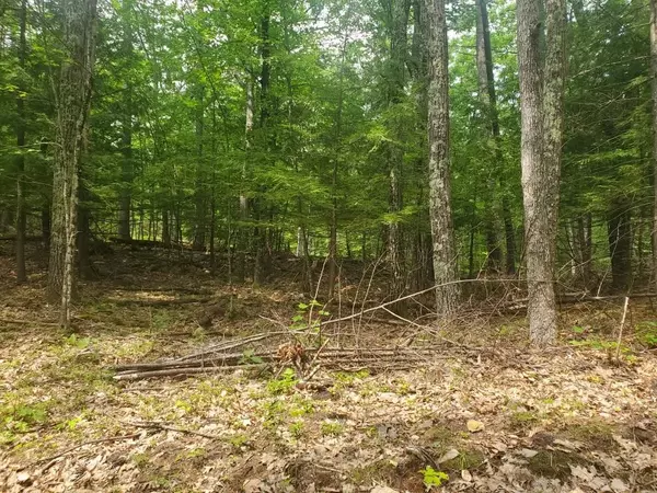 Northfield, NH 03276,R06-19A Ledge RD