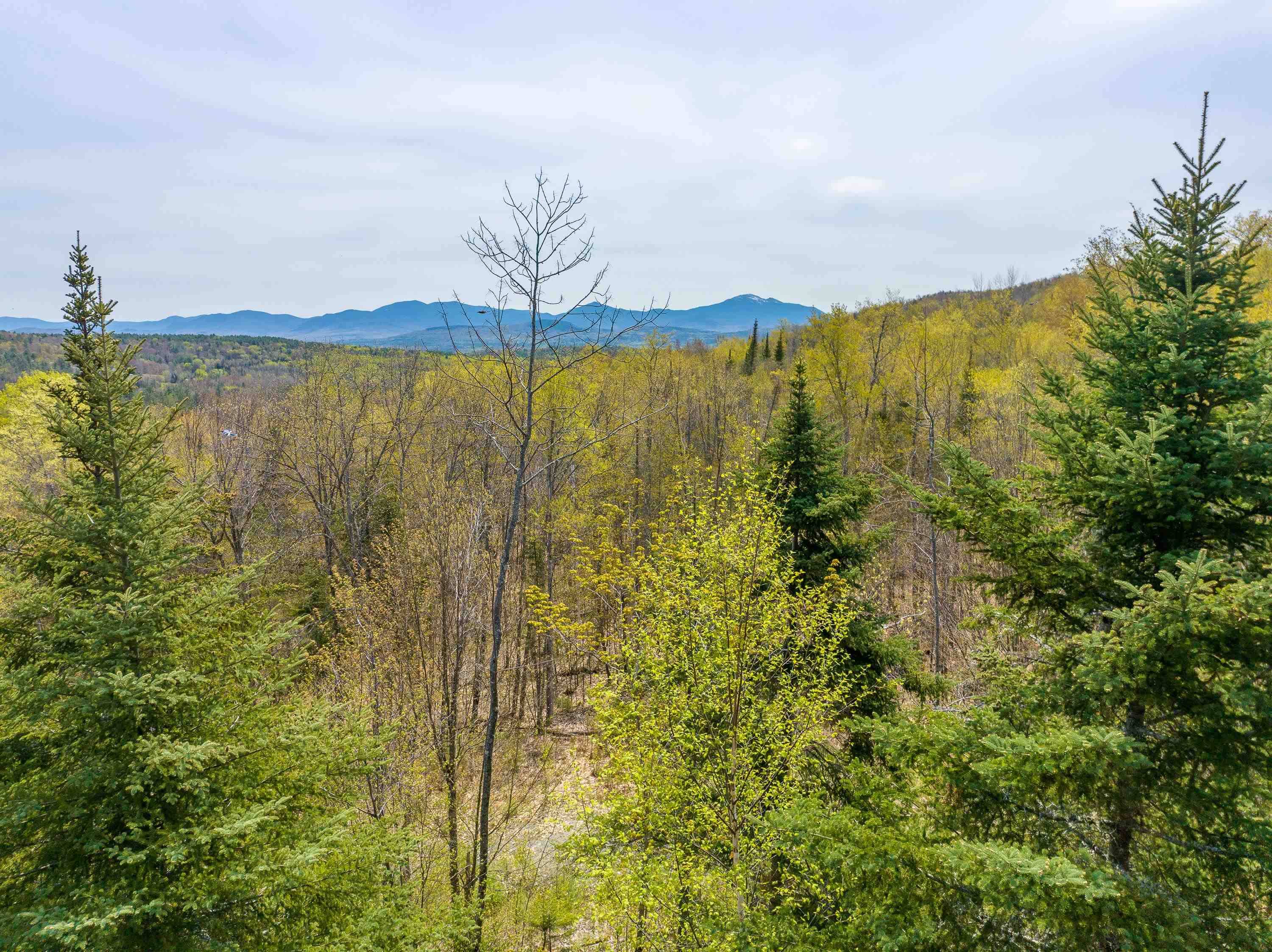 Map 23 Lot 13 Broomstick Hill RD, Littleton, NH 03561