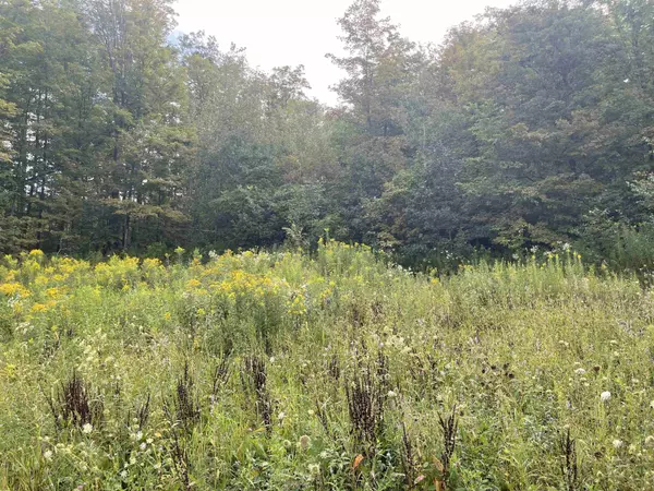 Newport, NH 03773,214 S Main ST