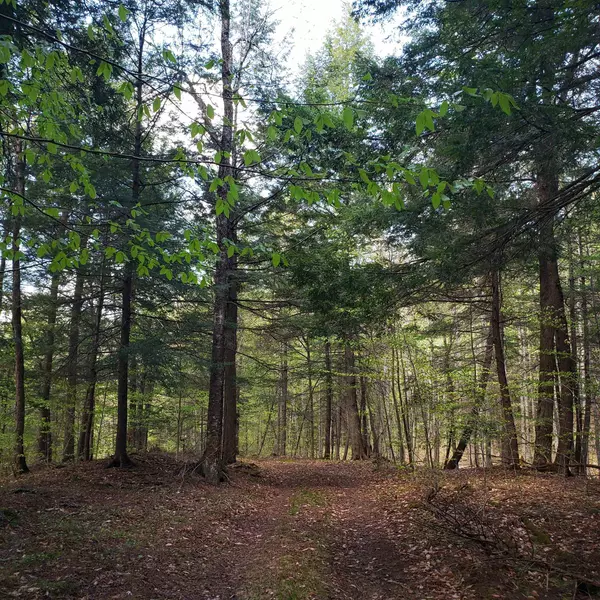 TBD Waits River RD, Bradford, VT 05033