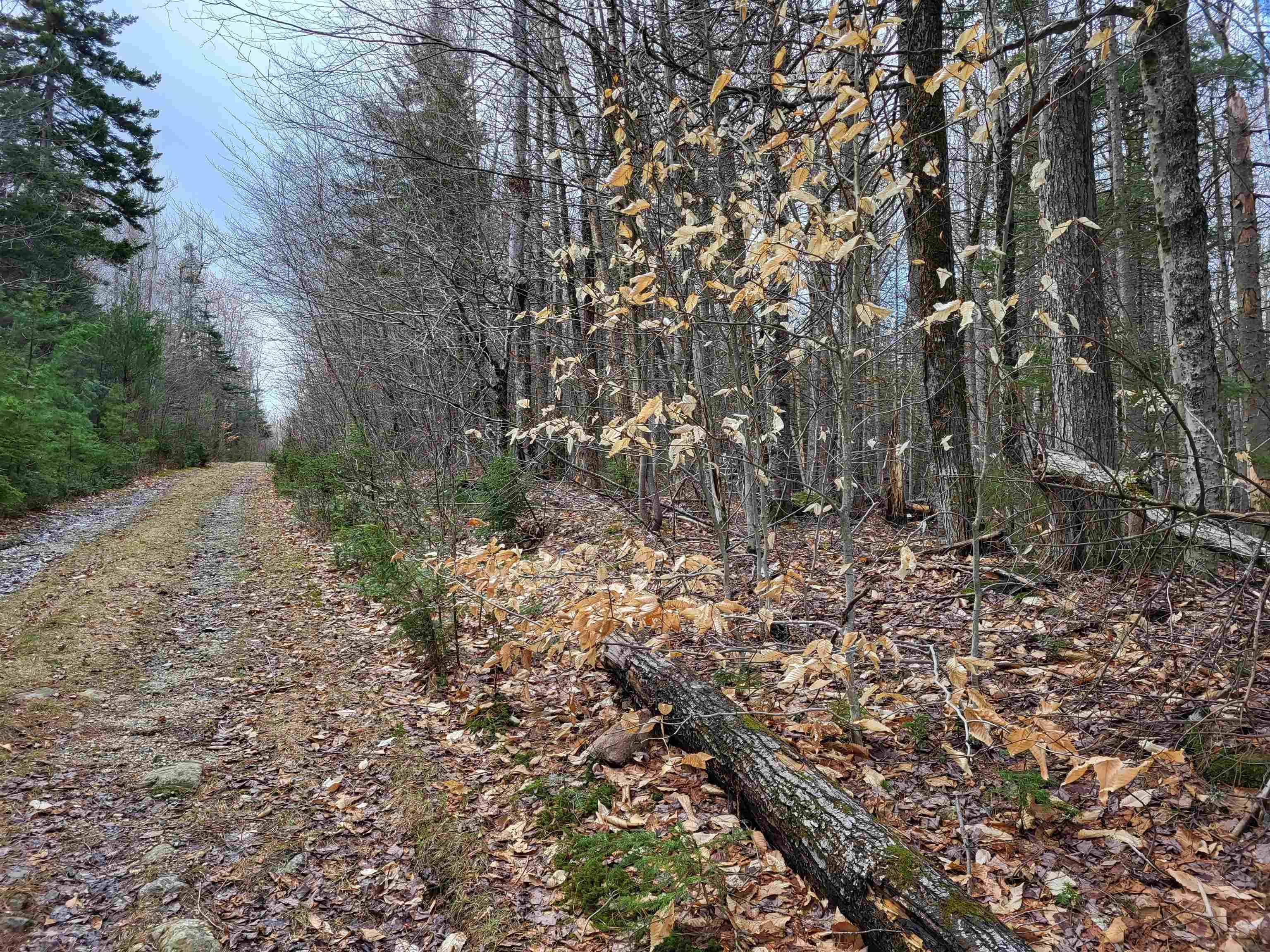 Alexandria, NH 03222,Lot 409-29 Knowles Hill West RD