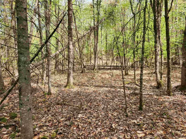 Littleton, NH 03561,0 Woods RD