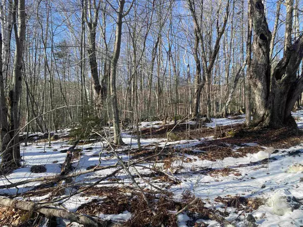 Jamaica, VT 05343,0 Dalewood RD #Lot/parcel #26