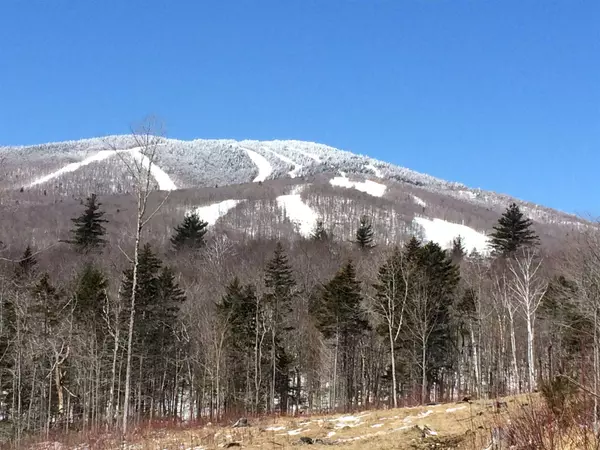 Gold Medal CIR #Lot 2, Stratton, VT 05155