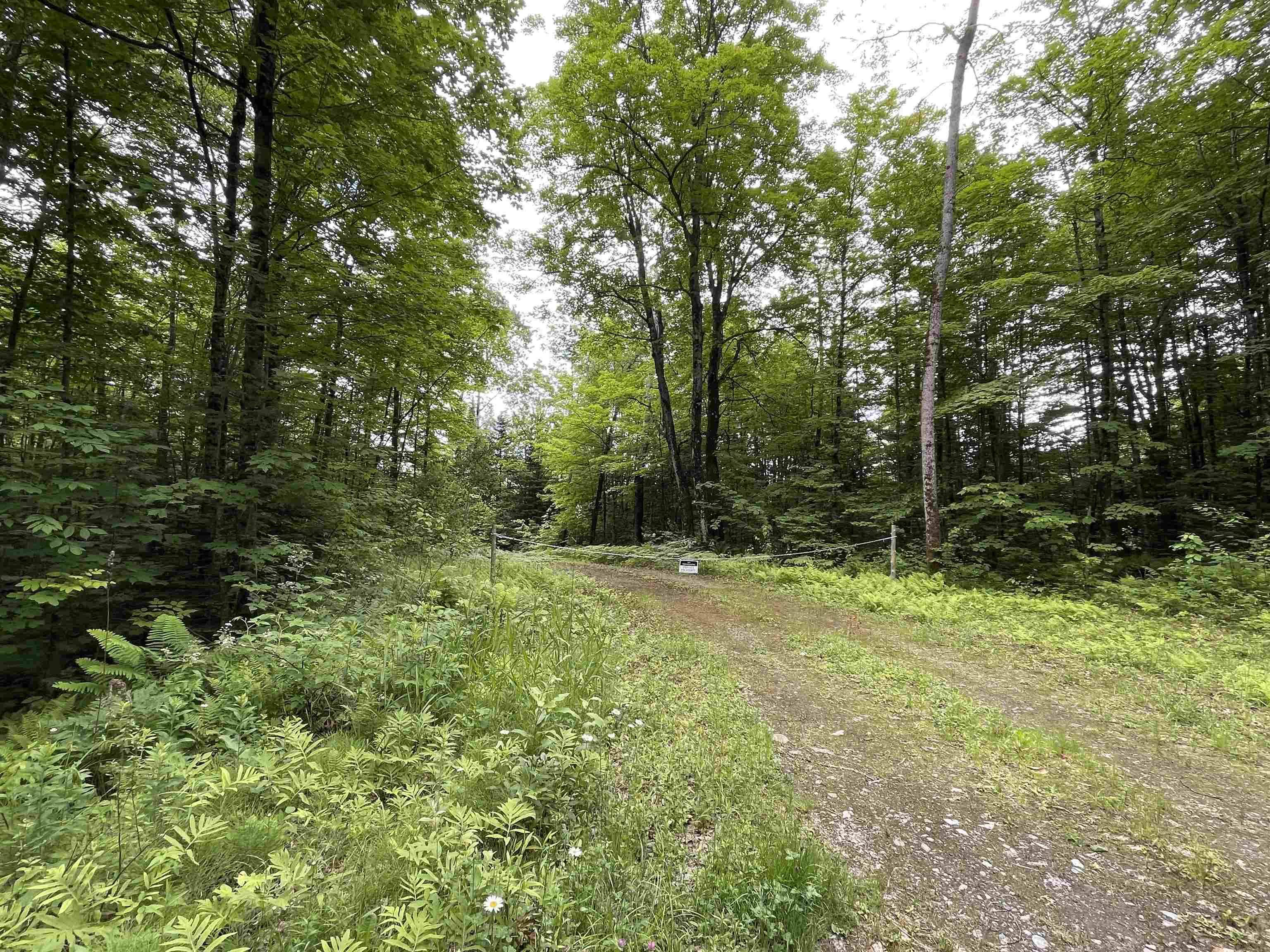 220 Buck Hill RD, Westfield, VT 05874