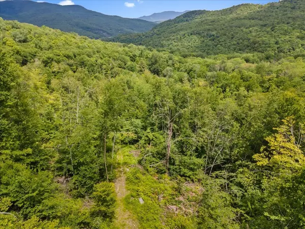 Duxbury, VT 05676,Lot 1 Marshall RD