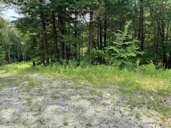 Warner, NH 03278,165 Couchtown RD