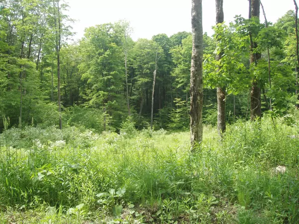 Winhall, VT 05340,Lower Woods and Water RD #Lot 16