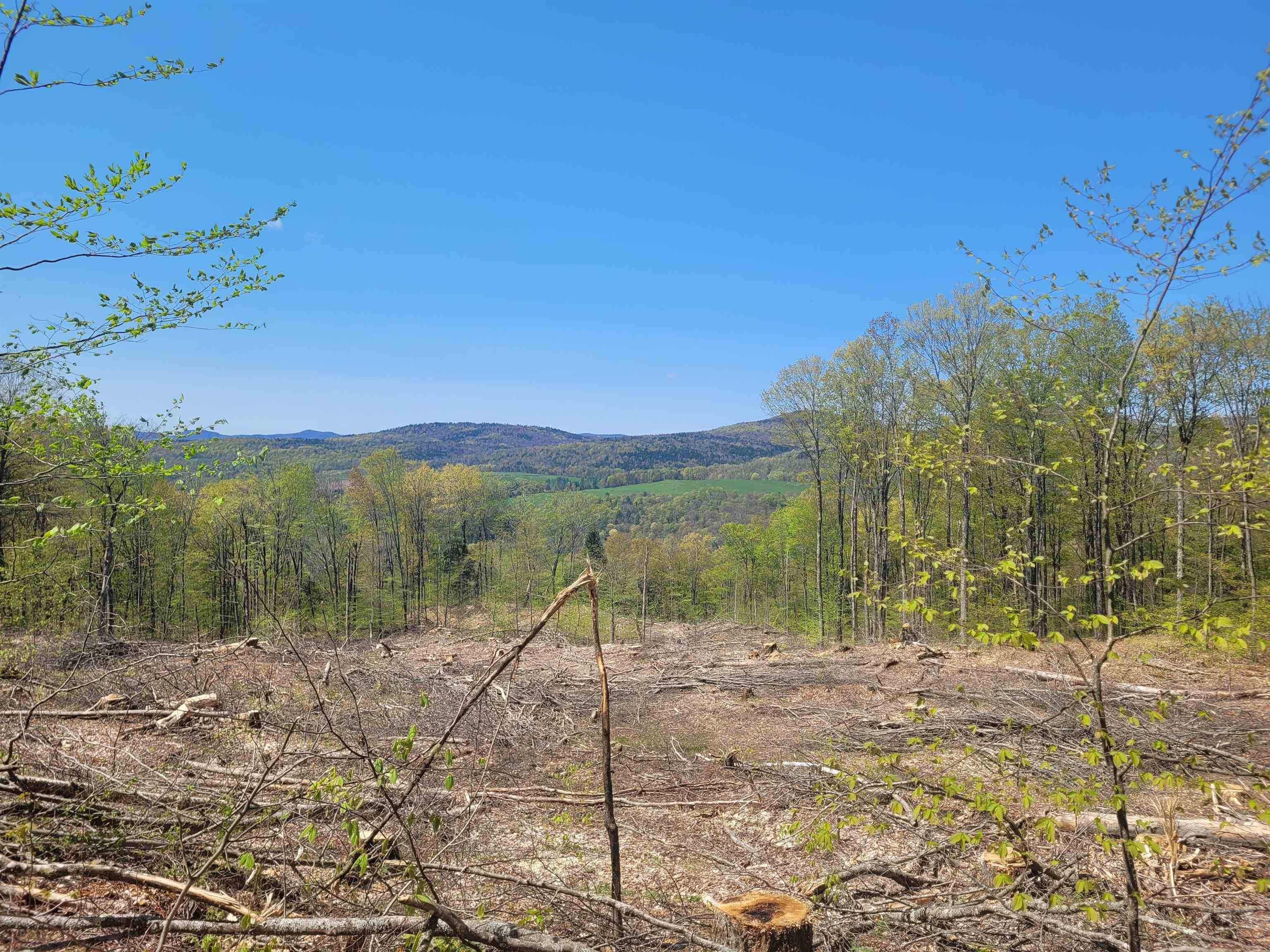 Brookfield, VT 05036,00 Lower Maloney RD