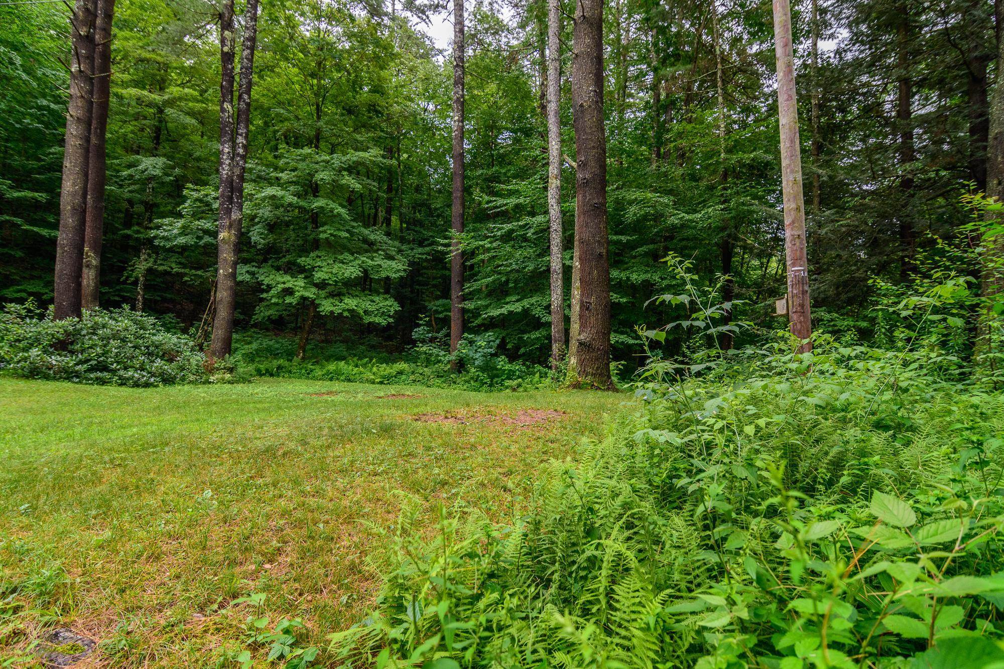 Guilford, VT 05301,103 Great Blue Heron DR