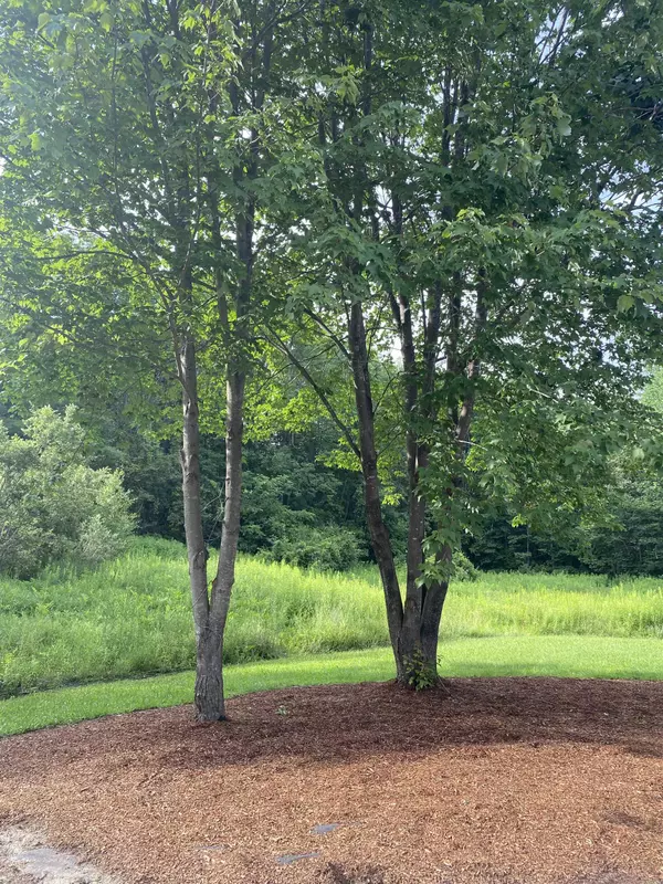 Randolph, VT 05660,168 Crab Apple RDG