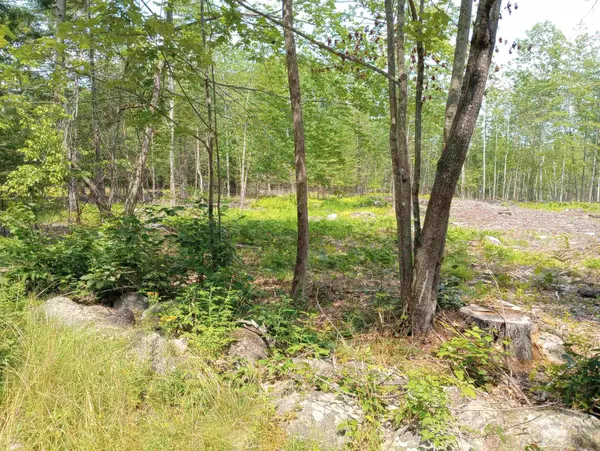 Bridgton, ME 04009,6 Milbrook RD #6