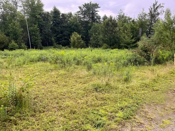 Huntington, VT 05462,Lot 4 Village Hill LN #4