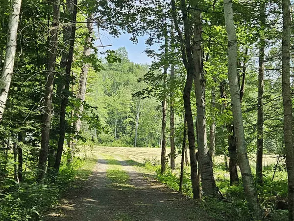 Franconia, NH 03580,155 Plantation RD