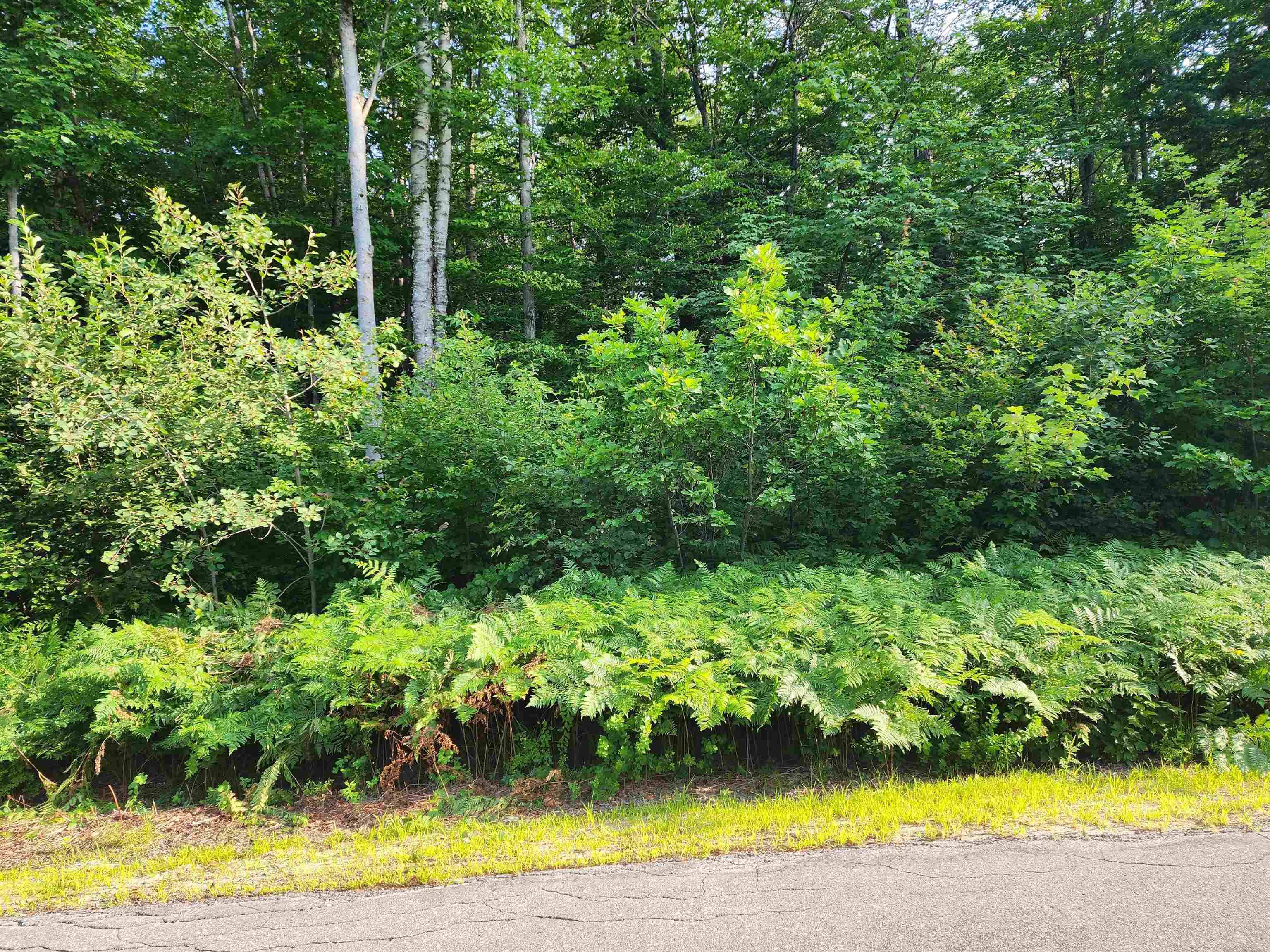 Cobb Farm RD, Bartlett, NH 03812