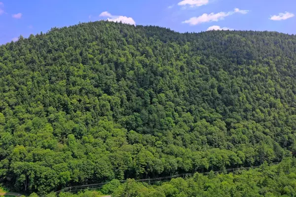 Plymouth, VT 05056,00 Route 100