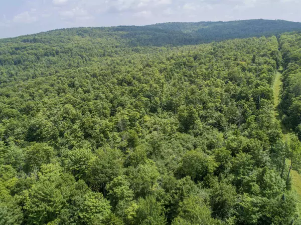 Stewartstown, NH 03576,Lot 16 Deadwater RD