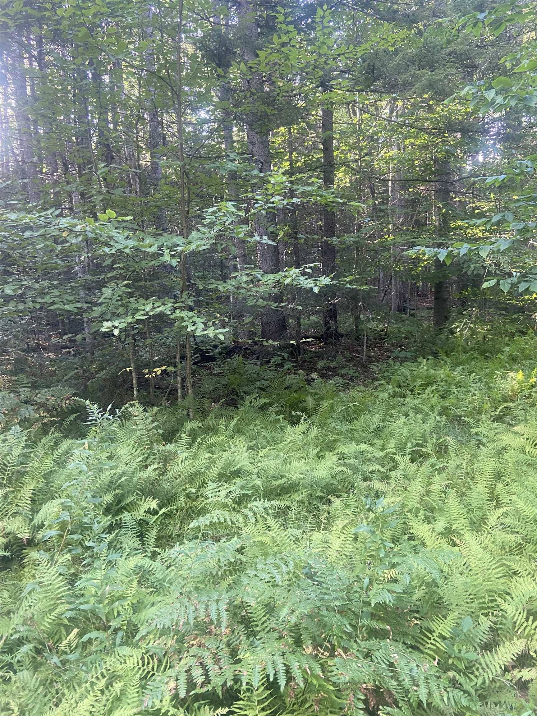 Peru, VT 05152,1138 South RD