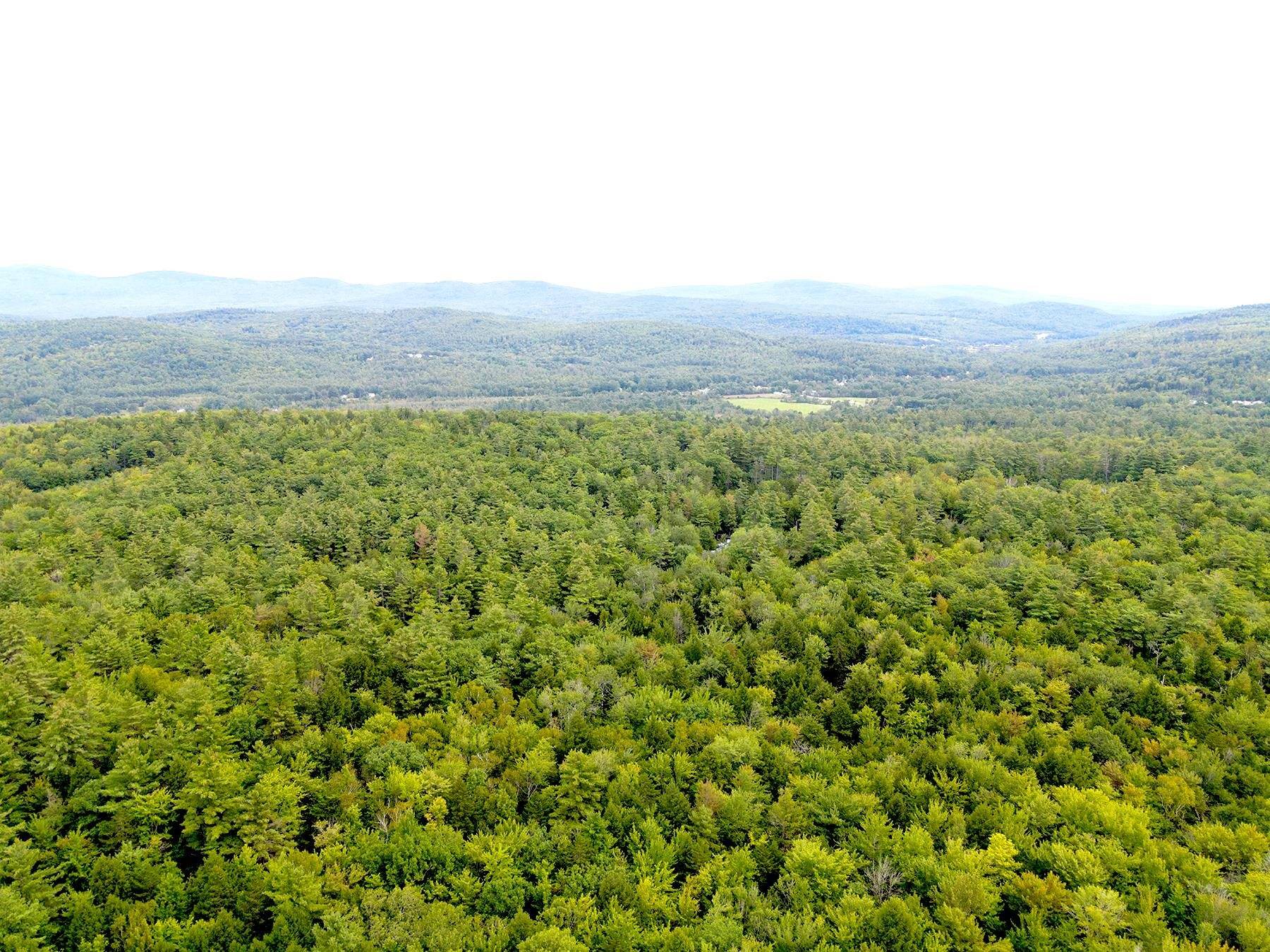 Grafton, NH 03240,33 Whitney Pond RD