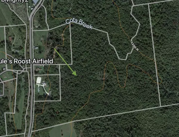 Lincoln, VT 05443,TBD So. Lincoln RD