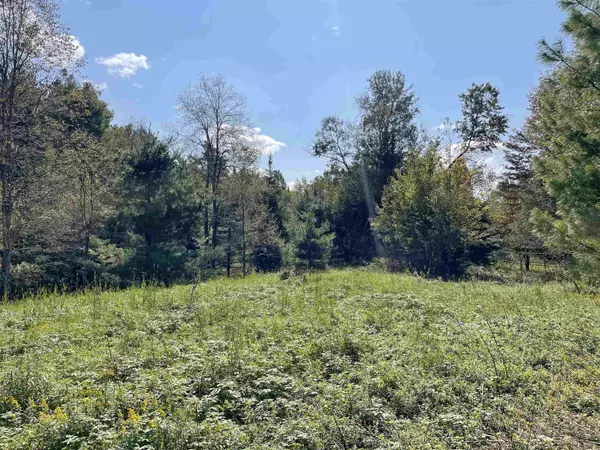 Lincoln, VT 05443,TBD So. Lincoln RD