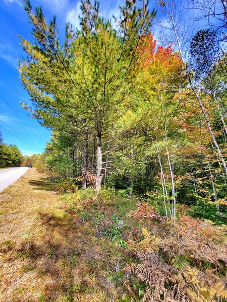 TBD Thorn Hill RD, Bethlehem, NH 03574