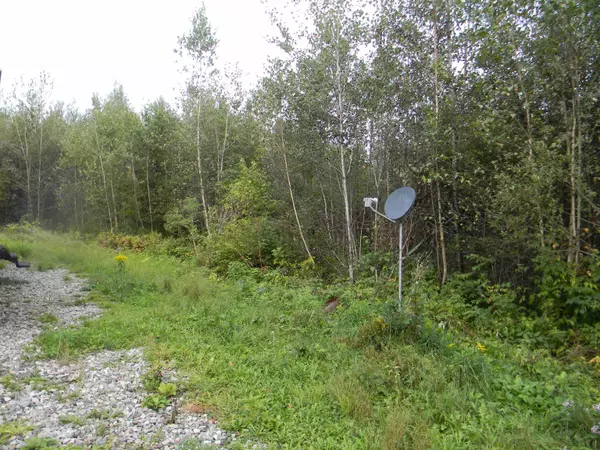 Whitefield, NH 03598,170 S Whitefield RD