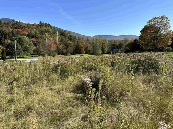 Lincoln, VT 05443,lot 4 Cold Spring RD