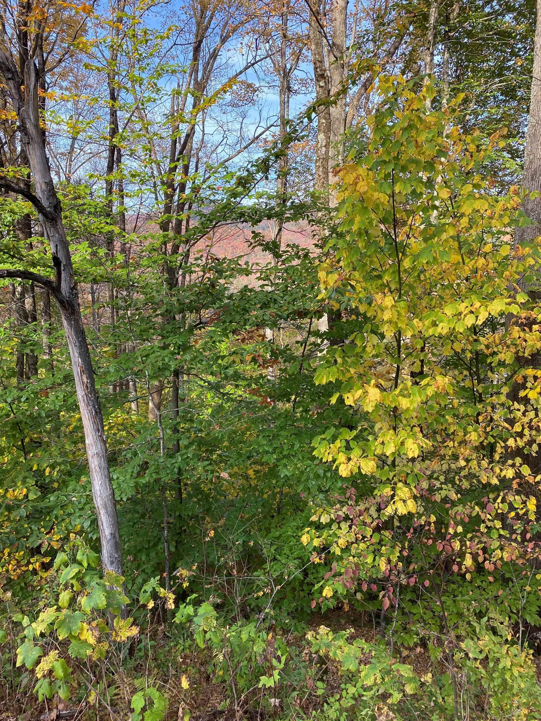 Lot 13 Barrows Towne RD #Lot # 13, Killington, VT 05751