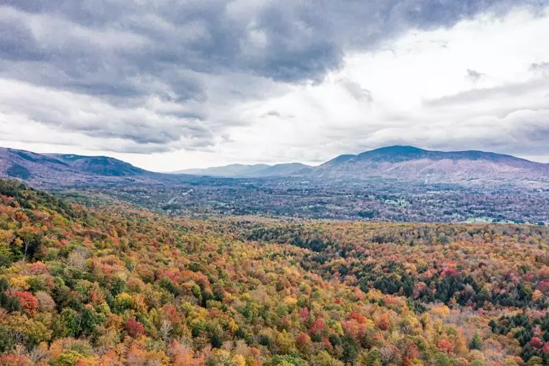 Winhall, VT 05340,25 Snowflake LN