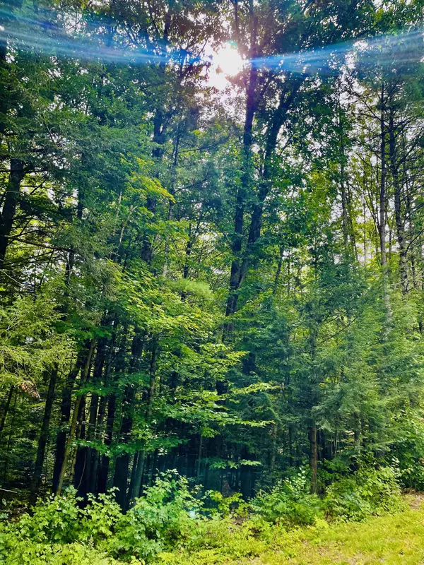 Keene, NH 03431,0 Summit RD
