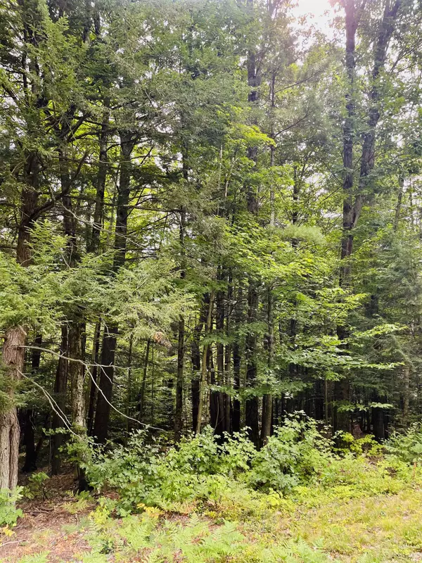 Keene, NH 03431,0 Summit RD