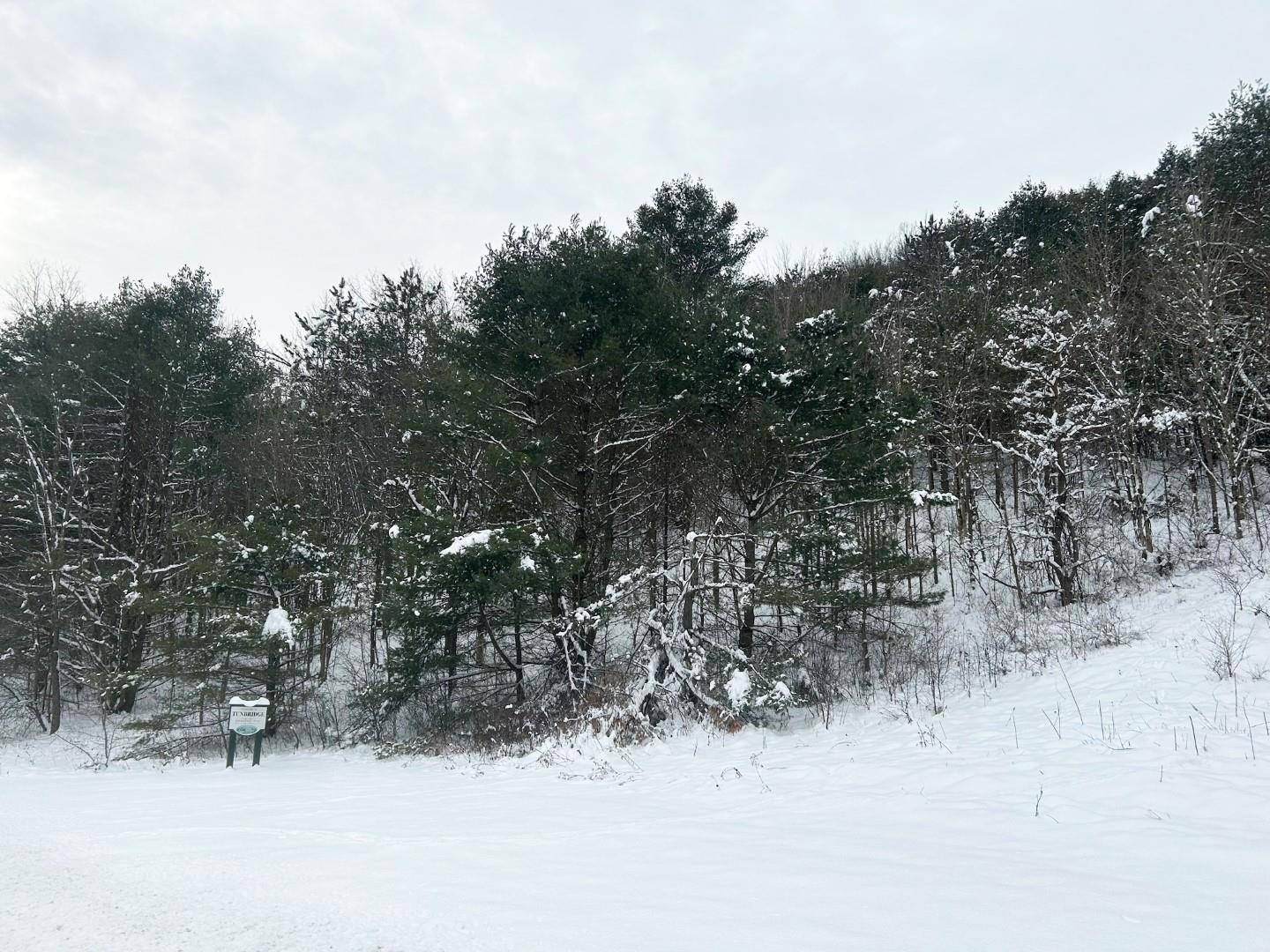 803 VT Route 110, Tunbridge, VT 05077
