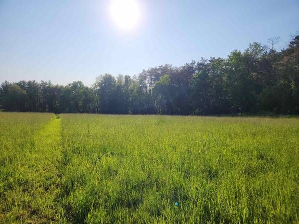 86 - 90 Wentworth RD #5-2, 5-3, Walpole, NH 03608