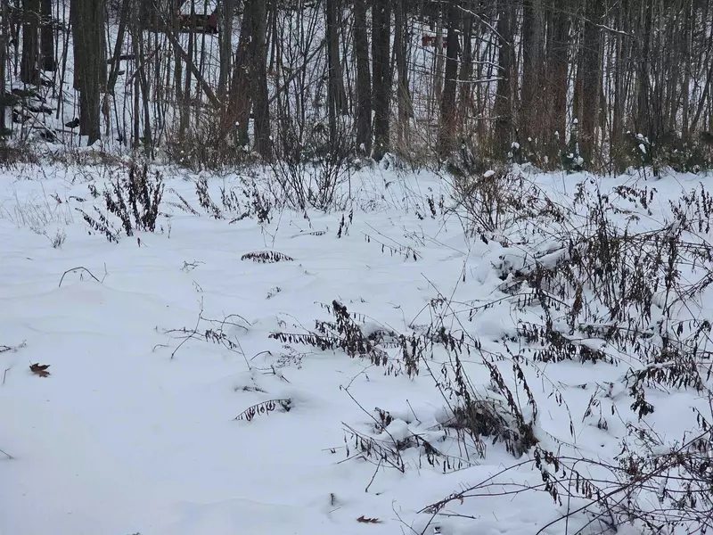 Address Not Disclosed