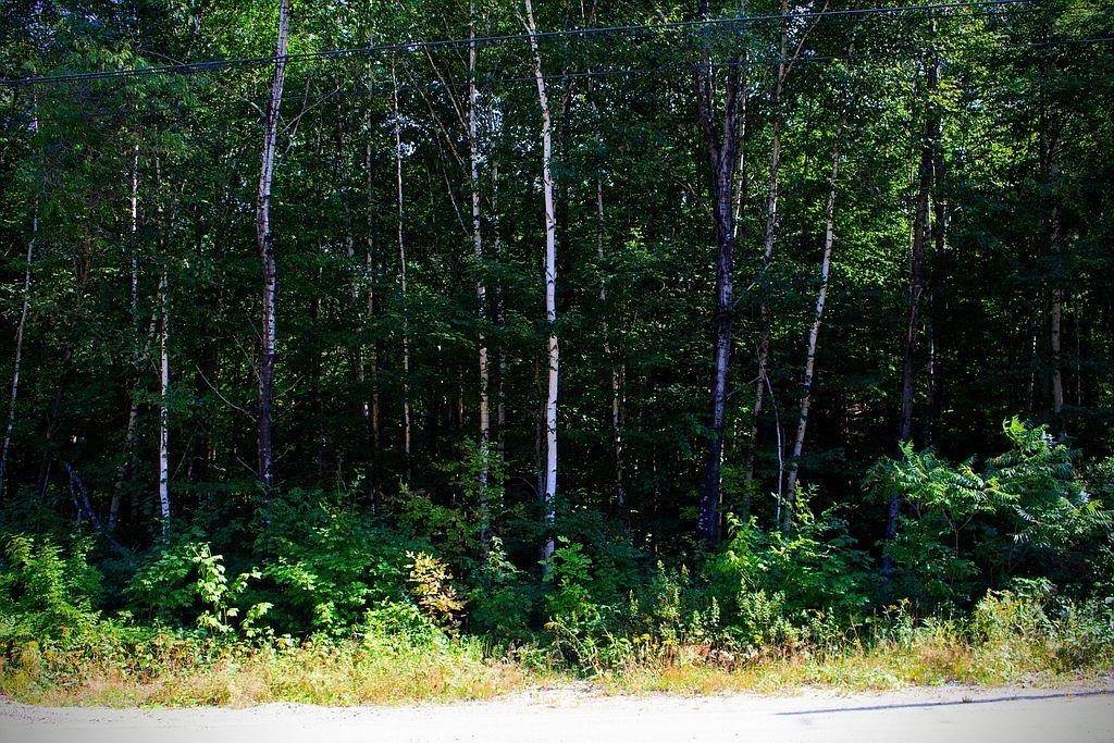 Alexandria, NH 03222,111 Lakeview HTS