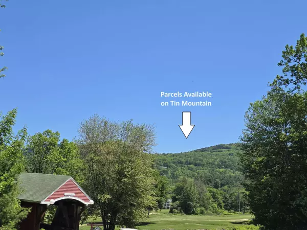 Jackson, NH 03846,00 Switchback WAY #V08-25-05