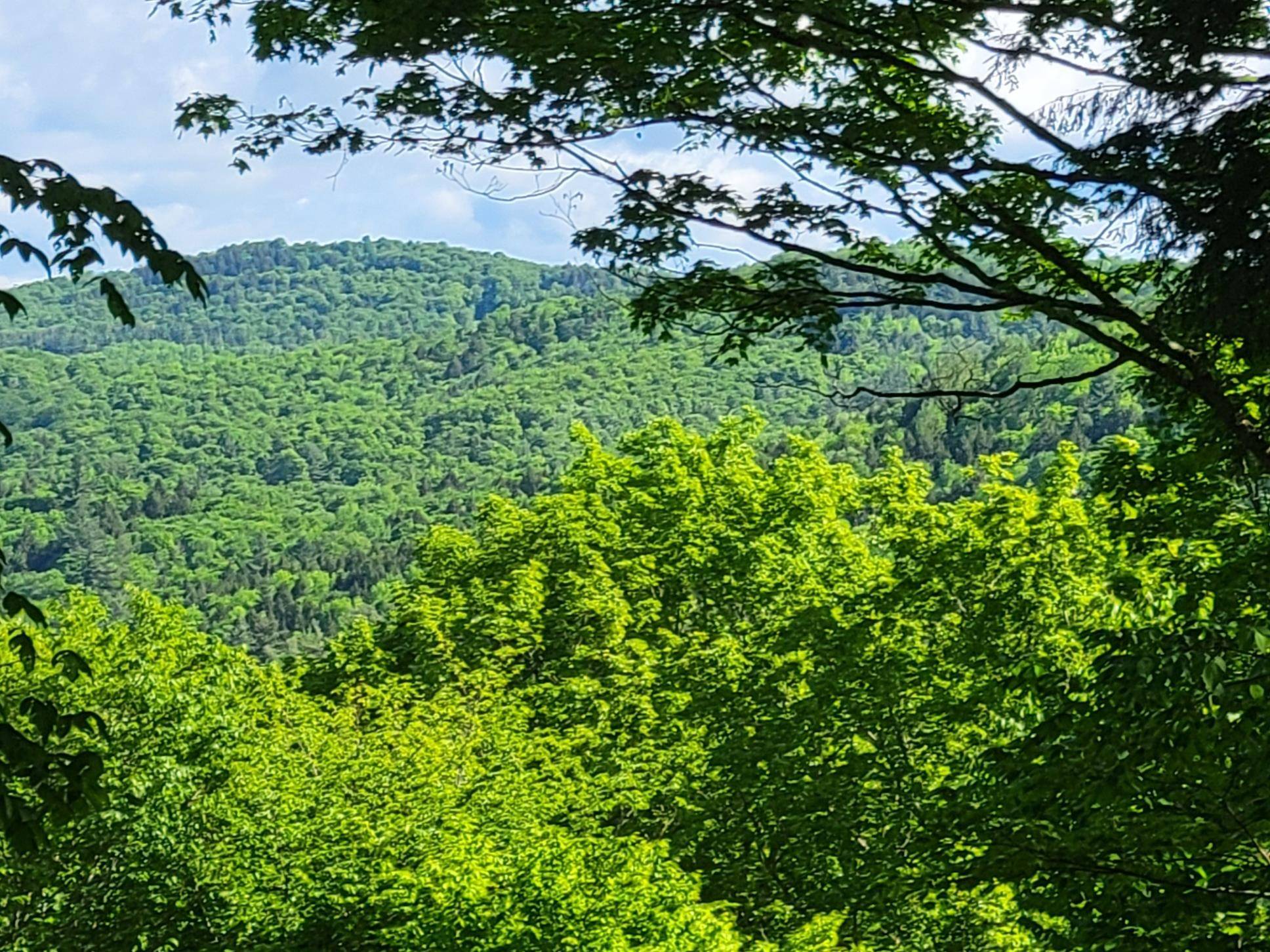 Barnard, VT 05031,000 West RD